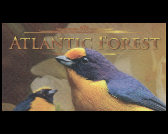 Atlantic Forest, NonLegal, 41 AvesDollars, 2019