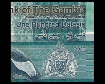 Gambie, P-41b, 100 dalasis, 2020