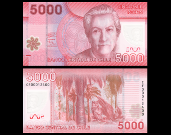 Chili, P-163h, 5 000 pesos, 2021, Polymère